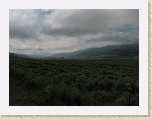 Wyoming2008 491 * Looking for wolves mid-morning in Lamar Valley * Looking for wolves mid-morning in Lamar Valley * 2816 x 2112 * (1.18MB)